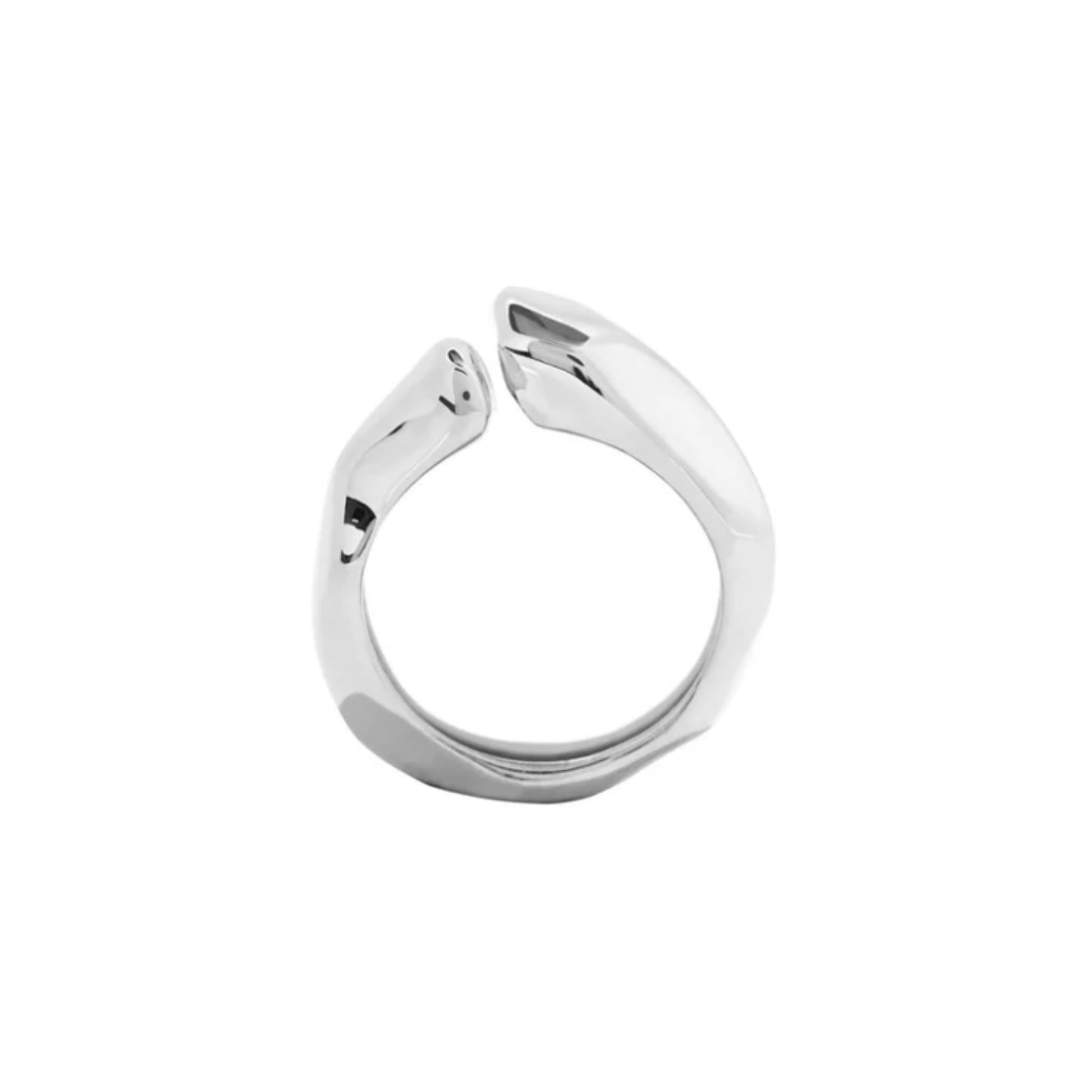 SILVER SATURDAY RING - AEQEA 